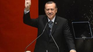 Ердоган иска да увеличи влиянието на Турция в Черно море в рамките на доктрината "Синя родина"