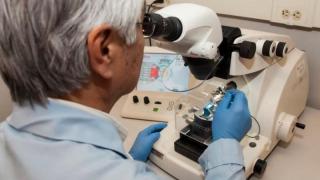 Русия внесе в Съвета за сигурност на ООН документи за американски биолаборатории в Украйна