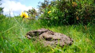 Хиляди нидерландски фермери и рибари излязоха на невиждан протест (видео)