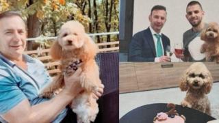 Турчин подарил на Малката Яра пудела Тоби с пачките евро