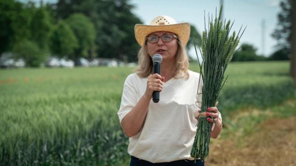 Скандал! Комисията за Нотариуса и Пепи Еврото да разпита Надежда Йорданова разпъвала ли е прокурорско-съдебен чадър над сестра си - маститата зърнарка Мариела Йорданова Скандал! Комисията за Нотариуса и Пепи Еврото да разпита Надежда Йорданова разпъвала ли е прокурорско-съдебен чадър над сестра си - маститата зърнарка Мариела Йорданова