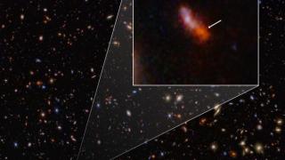 Топ 7 на най-невероятните открития през 2024 г.