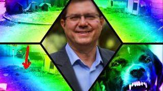 Читател: Зли кучета побъркаха софиянци, ПП кметът Ангел Стефанов се хили