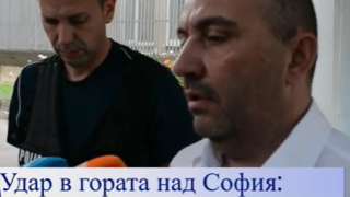 Удар в гората над София: Полицията разби тайна фабрика за тютюн – трима в ареста, над 200 кг иззети!