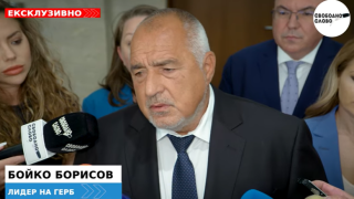 Ексклузивно! Борисов за протестите на ПП: Искат хаос! Опасно е да влезем в еврозоната със служебно правителство! (ВИДЕО)