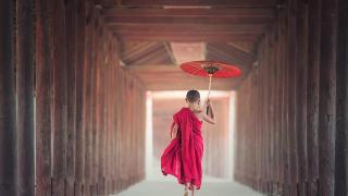 TravelLove – там, където пътешествията се превръщат в начин на живот
