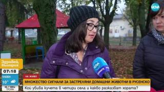 Множество сигнали за застреляни домашни кучета в Русенско