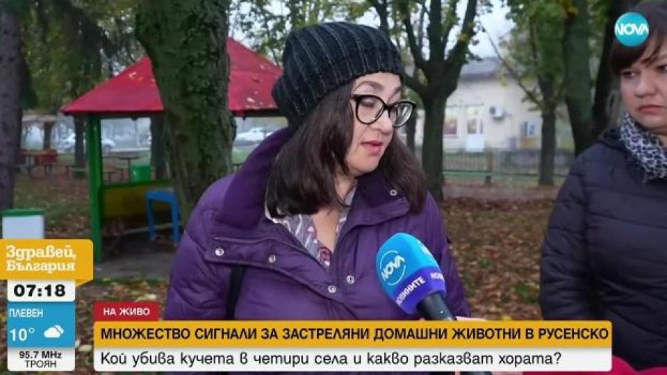 Множество сигнали за застреляни домашни кучета в Русенско