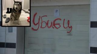 Лекарят, прегазил кучето Мая, се изнесе, а гаражът му осъмна с надпис "Убиец"