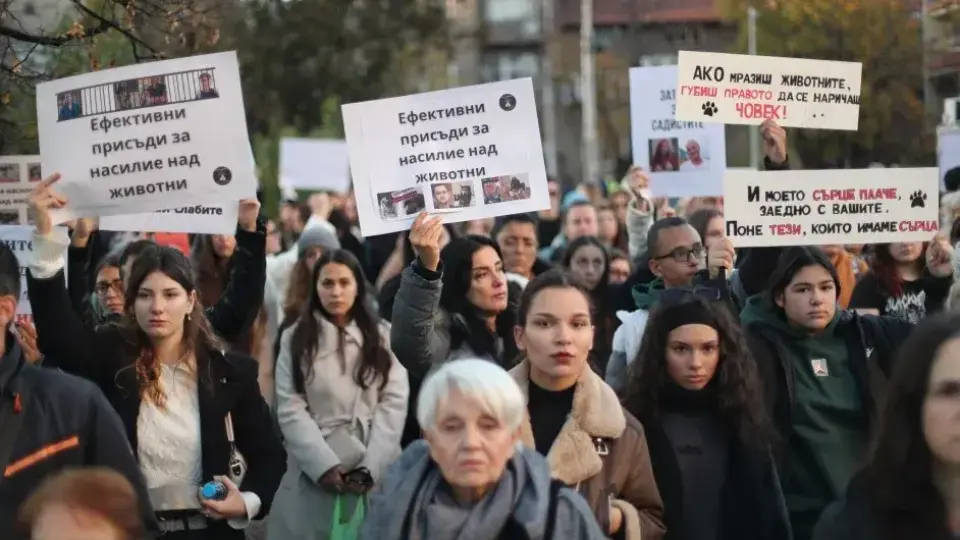 София и Варна протестираха след случая с прегазеното куче Мая