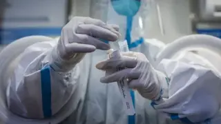 СЗО предупреди за появата на смъртоносния вирус "Марбург" в Етиопия