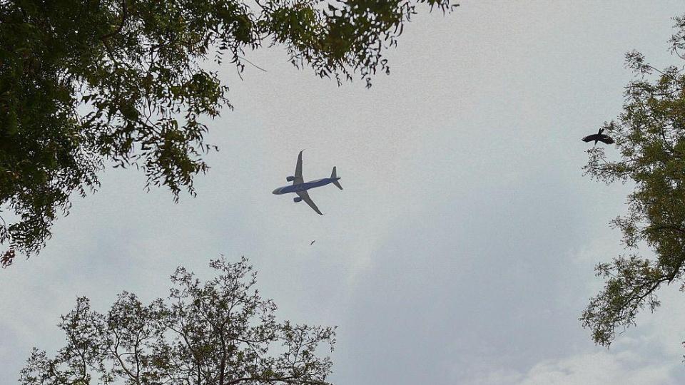 Пътнически самолет, изчезнал преди 13 г., се намери по чудо и получи тежко наказание