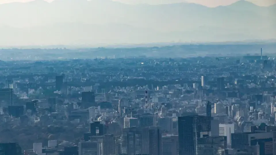 Пулмолог обясни какво причинява мръсният въздух на организма