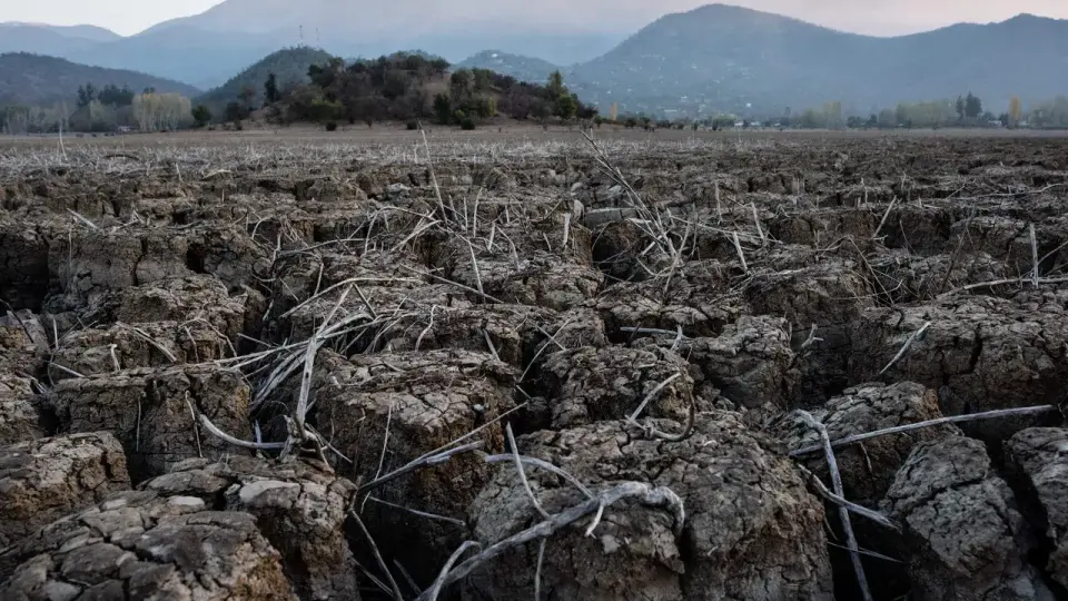 Температурни рекорди през 2025 г. бяха поставени в Централна Азия, Сахел и Северна Европа
