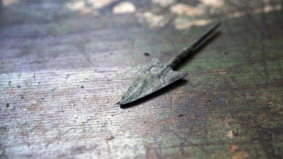 Откритие, което пренаписва историята: Най-старите отровни оръжия в света