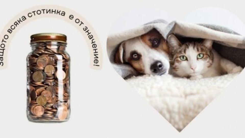 Дари ненужните си стотинки и спаси живот