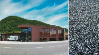 Собственикът на "Бяла река": Рибата ни беше изтровена умишлено