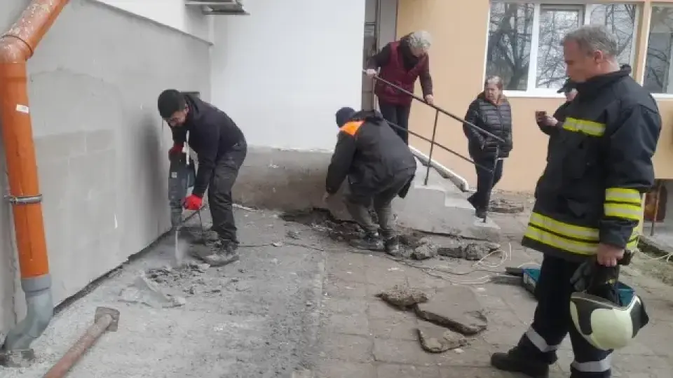 Спасиха коте, зазидано при саниране в блок в Бургас