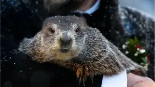 Какво видя мармотът? Предсказанието на Фил от Пънксътони (ВИДЕО)