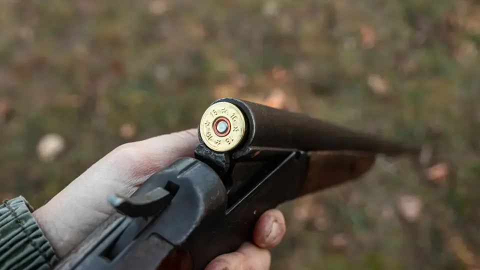 Нова трагедия! Откриха убити трима ловци, кучето им - заключено в колата