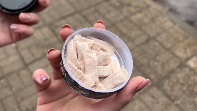 Опасни ли са никотиновите паучове