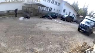 Прокуратурата официално поиска помощ от САЩ и Европол по случая "Петрохан"