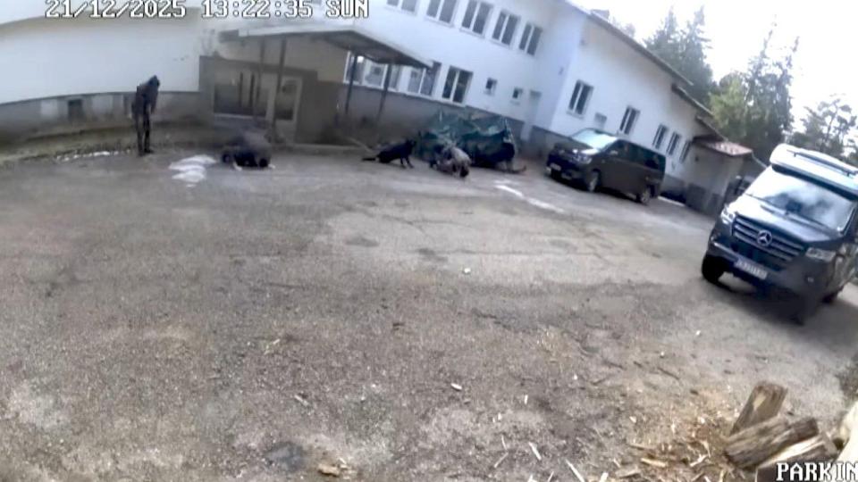 Прокуратурата официално поиска помощ от САЩ и Европол по случая "Петрохан"