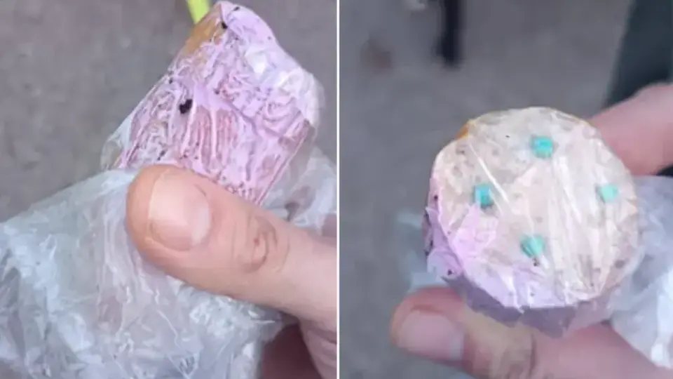 Отровни примамки за кучета разтревожиха жители на Ловешко