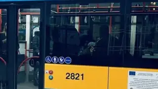 Искам истината да излезе наяве: внучка търси свидетели след тежък инцидент с баба ѝ