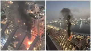 Наистина ли има недостиг на храна в Дубай: Bloomberg разкрива истината