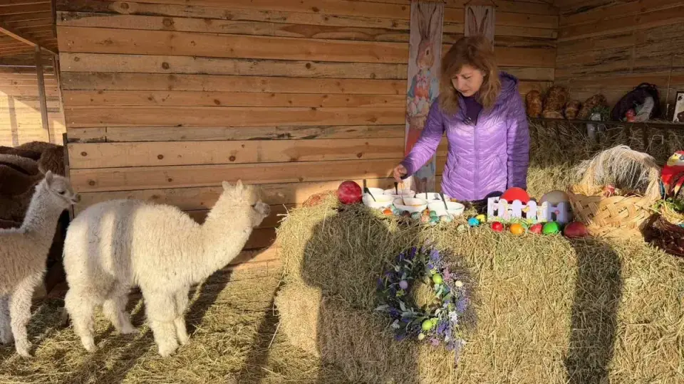 Велика събота в Бургас: Зоопаркът боядиса яйца от над 40 вида птици