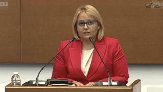 Айтен Сабри, зам.-председател на ПГ на ДПС:  Социалната политика не може да бъде само стратегия на хартия