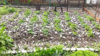 Поройни дъждове и градушки удариха страната, мълния запали къща (снимки/видео)