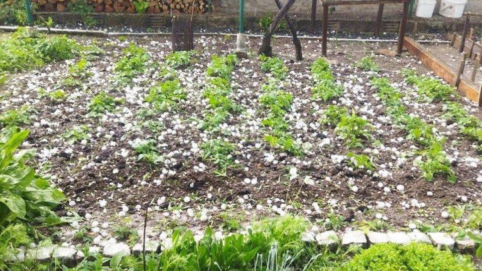 Поройни дъждове и градушки удариха страната, мълния запали къща (снимки/видео)