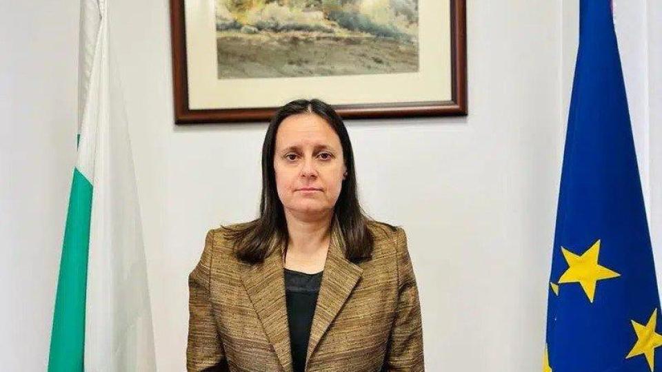 Уволниха и шефката на ДНСК