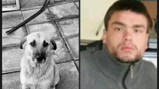 Полицията в Царево все още не е арестувала жестокия убиец на кучето Тара, който преди два дни пиян умъртви с шутове миролюбивото животно край Морската градина