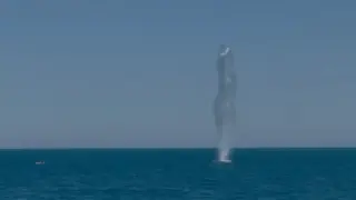 ВМС унищожиха дрон в морето край Кранево