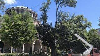 Трайков пак сече в сърцето на София