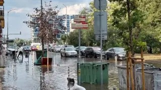 Потоп в София: 50 сигнала за щети, паднали светофари и блокиран път след мощната буря