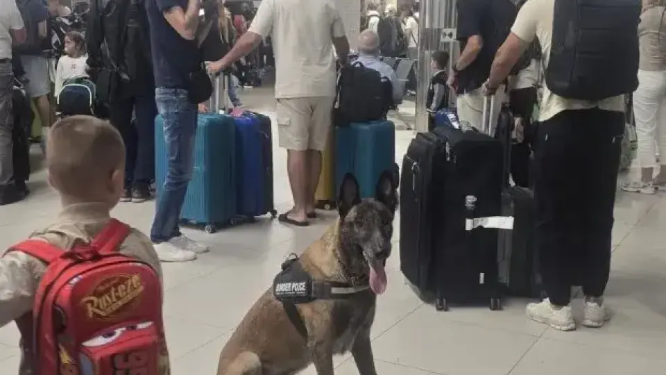 На една смяна, с една задача: Човек и куче търсят с надеждата да не намерят