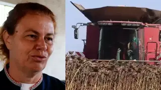 Зърнопроизводителите: Хамбарите са пълни, но сметките - празни